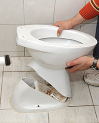 toilet replacement